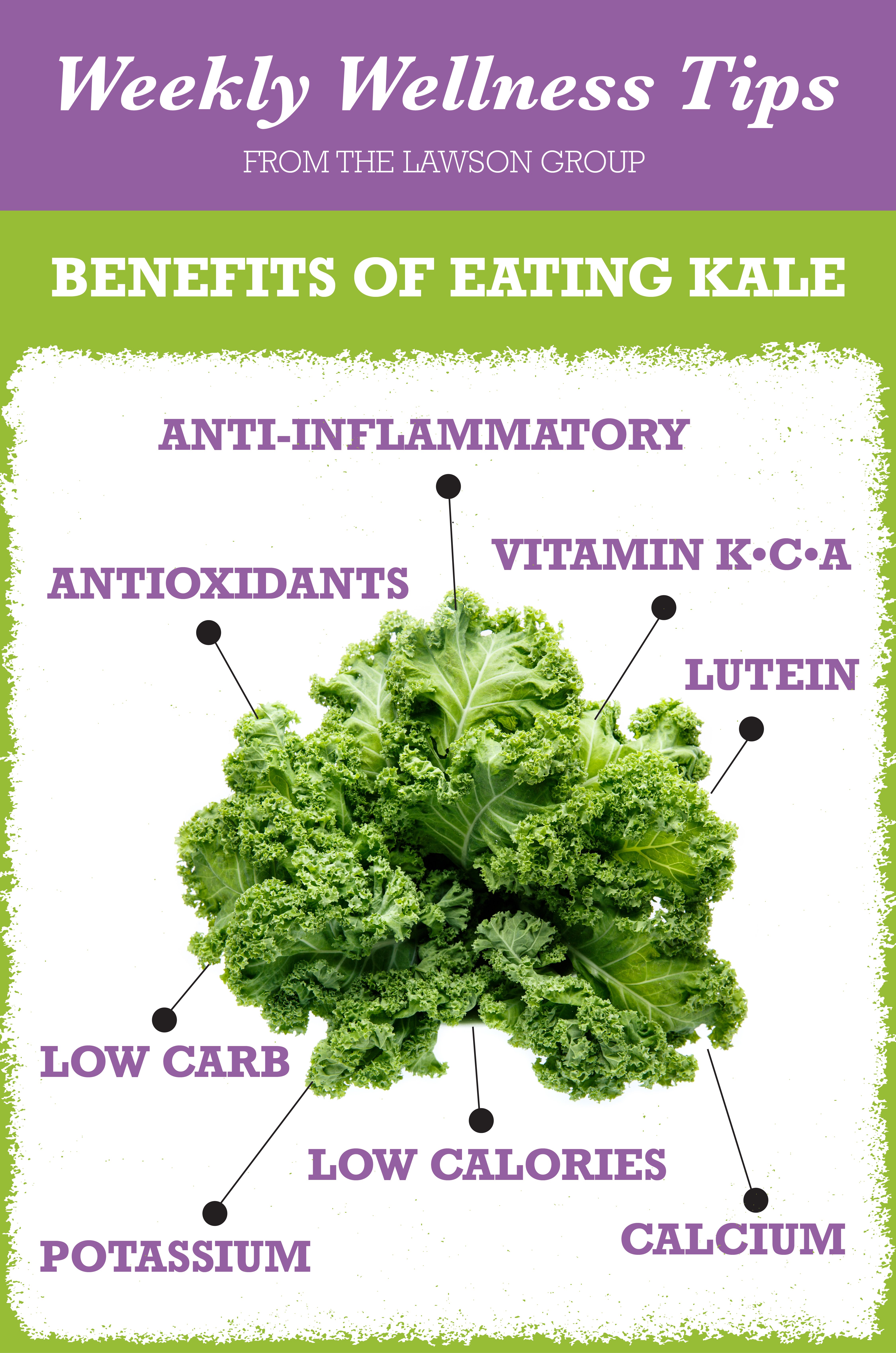 Kale Infographic-01