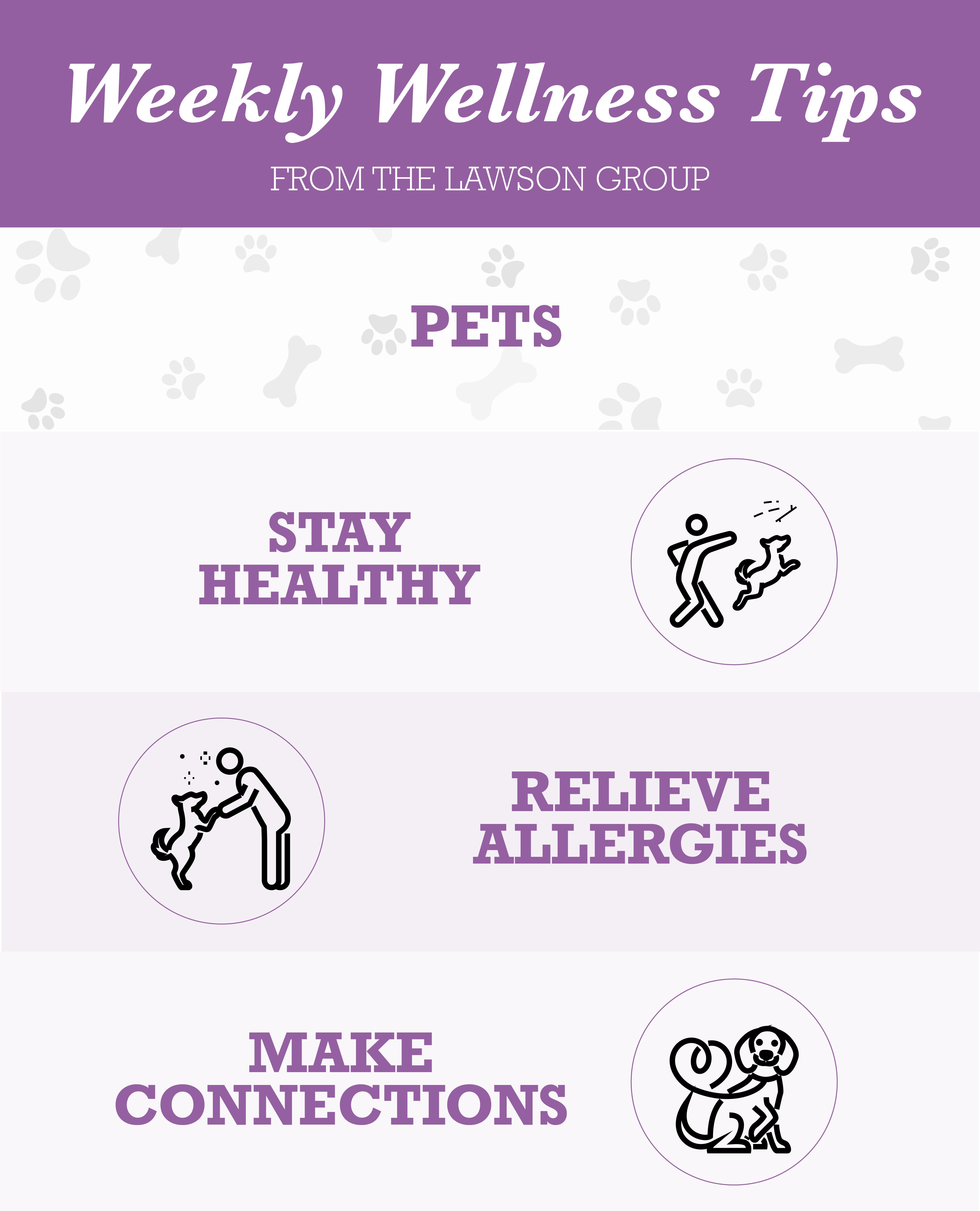 TLG22005 Wellness Tips PETS infographic