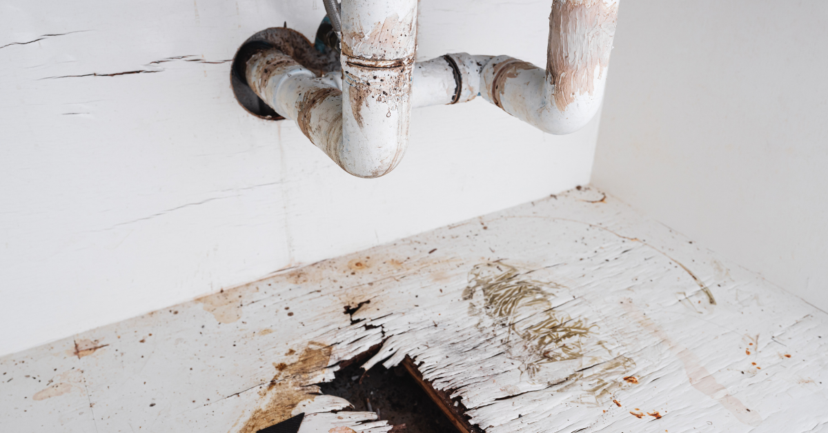 Leaky Pipes: When Does a Plumbing Problem Become a Mold Problem?